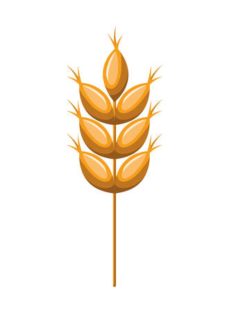 wheat leaves isolated icon vector illustration desingのイラスト素材