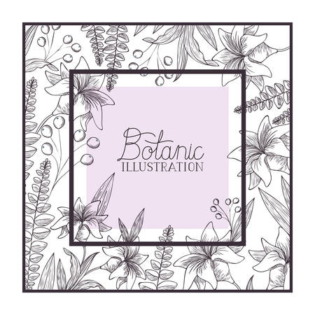 botanic illustration label with plants vector illustration desingのイラスト素材