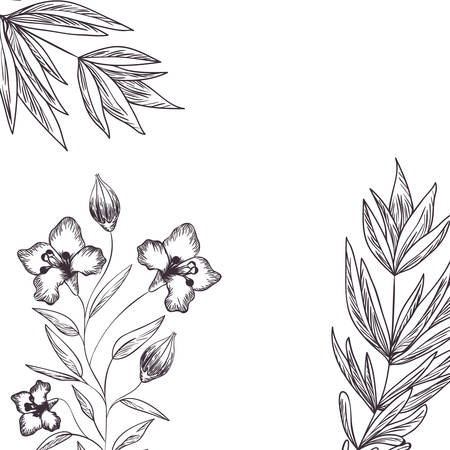 pattern plants and herbs isolated icon vector illustration designのイラスト素材
