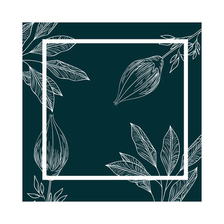 frame with plants and herbs isolated icon vector illustrationのイラスト素材