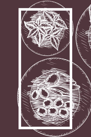 delicious italian food with frame vector illustrationのイラスト素材