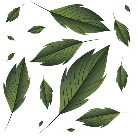 pattern of branch and leaf icon vector illustration designのイラスト素材