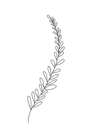 branch with leaves isolated icon vector illustration designのイラスト素材