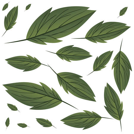 pattern of branch and leaf icon vector illustration designのイラスト素材