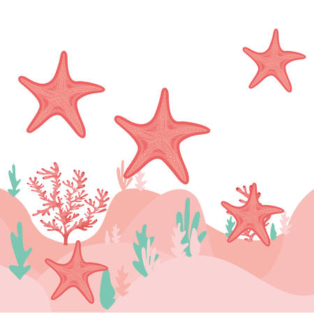 starfish pattern isolated icon vector illustration designのイラスト素材
