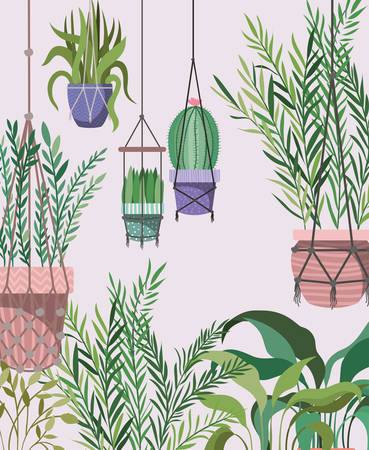 houseplants in macrame hangers vector illustration designのイラスト素材