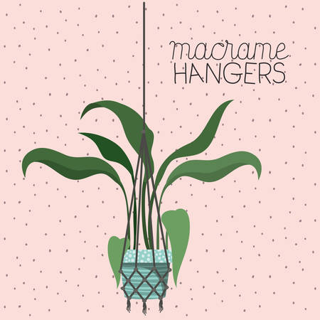 houseplant in macrame hangers vector illustration designのイラスト素材