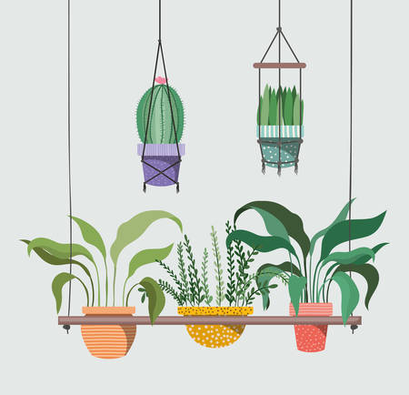 houseplants in macrame hangers vector illustration designのイラスト素材