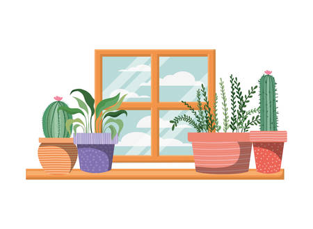 cactus with potted on shelf isolated icon vector illustration designのイラスト素材