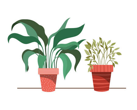 houseplants with potted isolated icon vector illustration designのイラスト素材