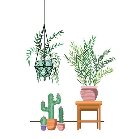 houseplants on macrame hangers and table vector illustration designのイラスト素材