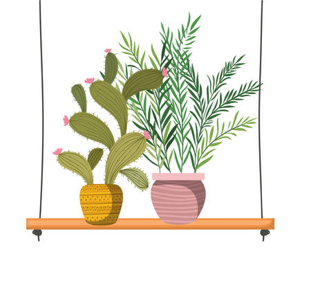 houseplants with potted on shelf isolated icon vector illustration designのイラスト素材