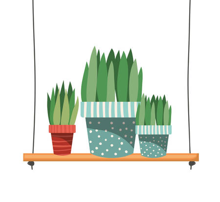houseplants with potted on shelf isolated icon vector illustration designのイラスト素材