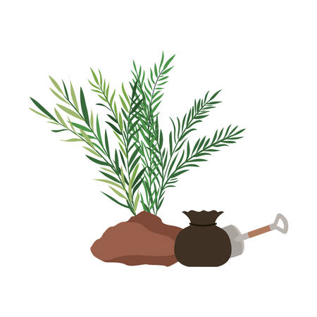 tree to plant isolated icon vector illustration designのイラスト素材