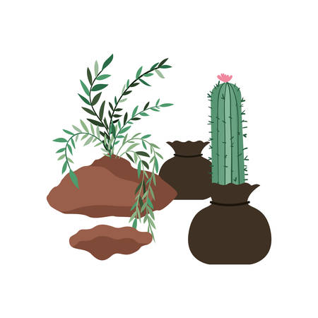 cactus and tree to plant isolated icon vector illustration designのイラスト素材