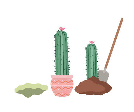 cactus to plant isolated icon vector illustration designのイラスト素材