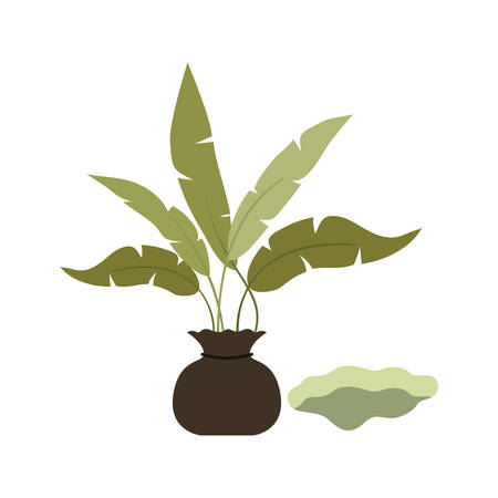 tree to plant isolated icon vector illustration designのイラスト素材