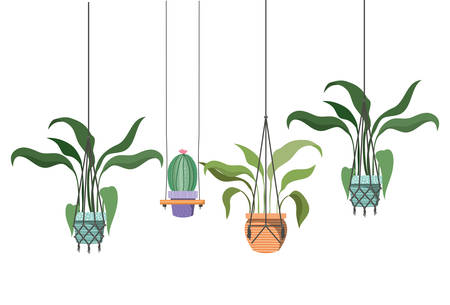 houseplants on macrame hangers icon vector illustration designのイラスト素材