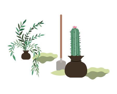 cactus and tree to plant isolated icon vector illustration designのイラスト素材