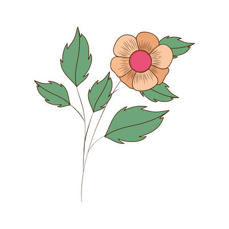 beautiful flowers with leafs isolated icon vector illustration designのイラスト素材