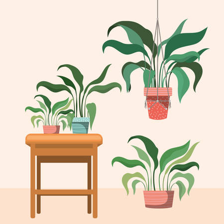 houseplants in macrame hangers and wooden chair vector illustration designのイラスト素材