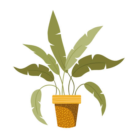 houseplant with potted isolated icon vector illustration designのイラスト素材