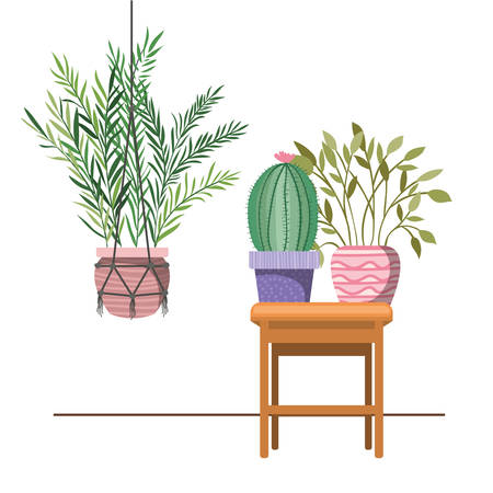 houseplants on macrame hangers and table vector illustration designのイラスト素材