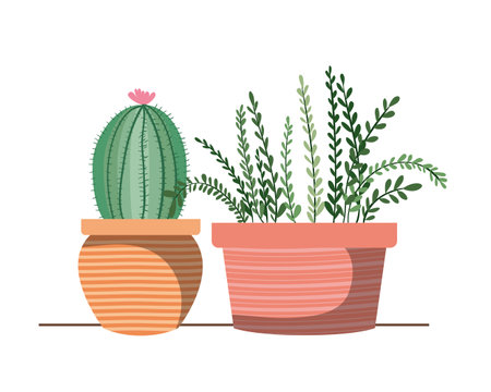 houseplants with potted isolated icon vector illustration designのイラスト素材