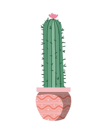 cactus with potted isolated icon vector illustration designのイラスト素材