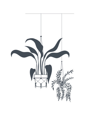 houseplants on macrame hangers icon vector illustration designのイラスト素材