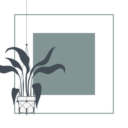 houseplants on macrame hangers and frame vector illustration designのイラスト素材