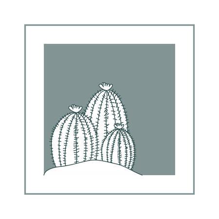 houseplants on macrame hangers and frame vector illustration designのイラスト素材