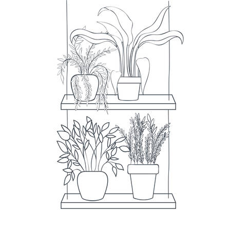 houseplants with potted on shelf isolated icon vector illustration designのイラスト素材