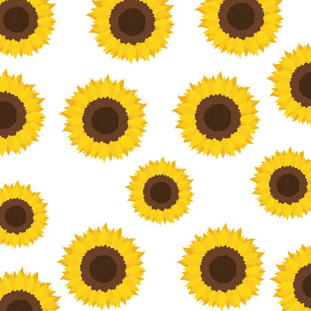 pattern of sunflowers isolated icon vector illustration designのイラスト素材