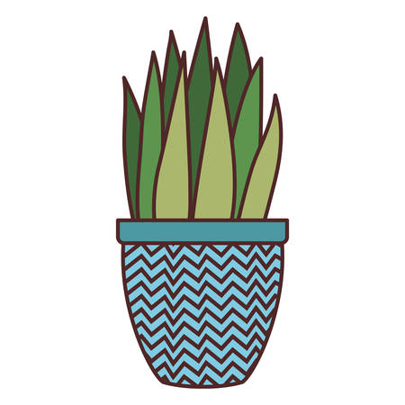 houseplant with potted isolated icon vector illustration designのイラスト素材