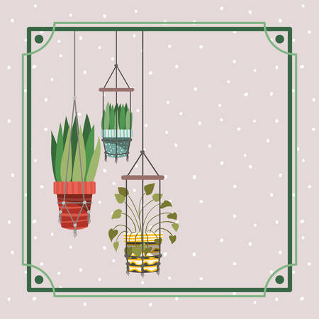 frame with houseplants hanging in macrame vector illustration designのイラスト素材
