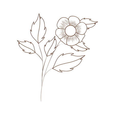 beautiful flowers with leafs isolated icon vector illustration designのイラスト素材