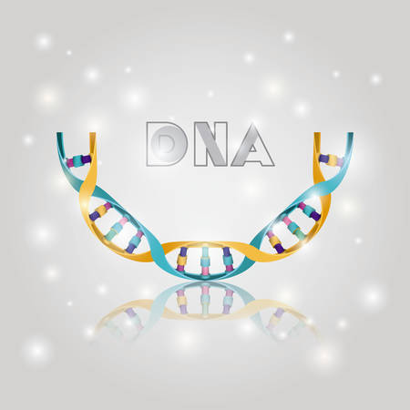 dna molecule half circle structure pattern vector illustration designのイラスト素材