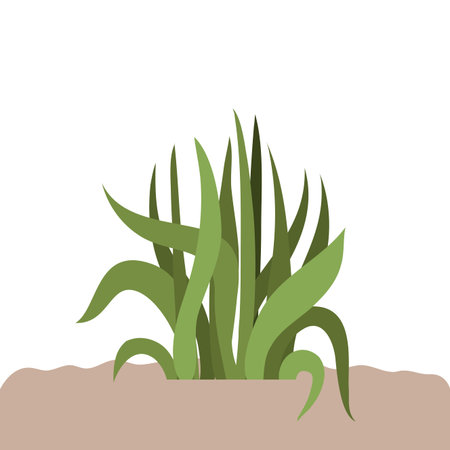 plant in landscape isolated icon vector illustration designのイラスト素材
