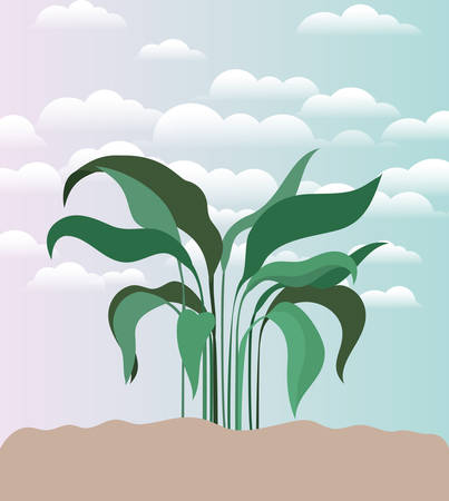 plant of garden planted vector illustration designのイラスト素材