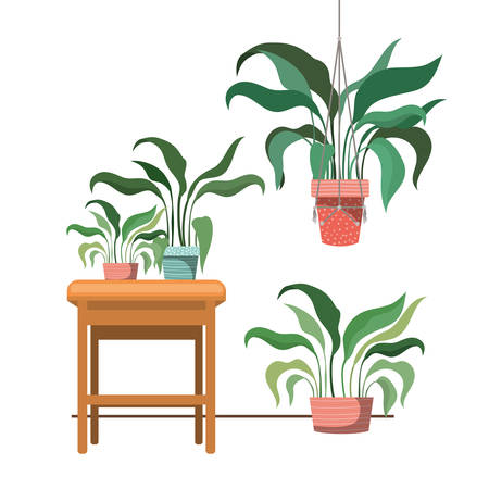 houseplants on macrame hangers and table vector illustration designのイラスト素材