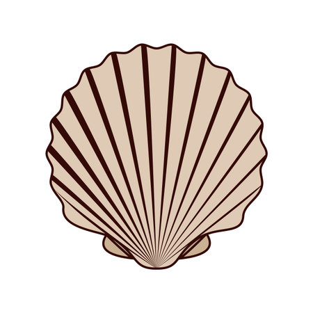 cute seashell on the sea in white background vector illustration design