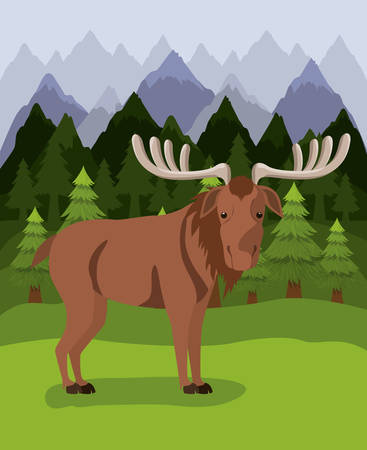 Moose animal and pine trees design, forest canada life nature and fauna theme Vector illustrationのイラスト素材