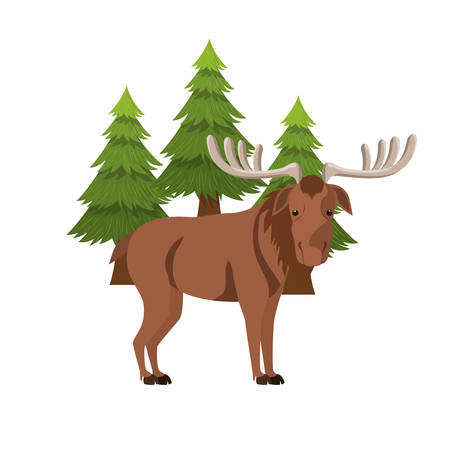 Moose animal design, forest canada life nature and fauna theme Vector illustrationのイラスト素材