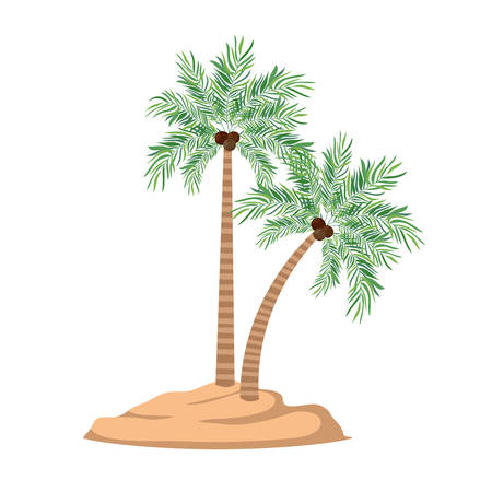 palm tree with coconut in white background vector illustration designのイラスト素材