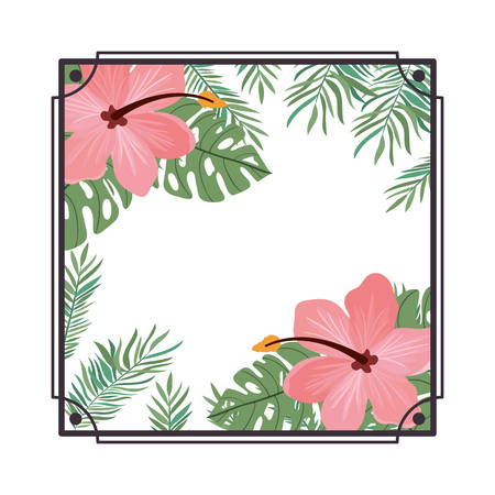 frame with flower and leafs of summer vector illustration designのイラスト素材