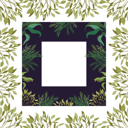 frame with branch and leaf of summer vector illustration designのイラスト素材