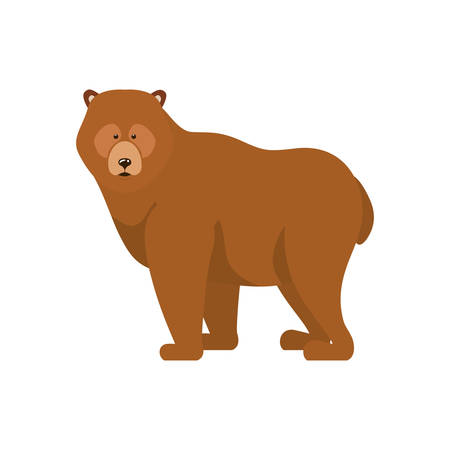 Bear animal design, forest canada life nature and fauna theme Vector illustrationのイラスト素材