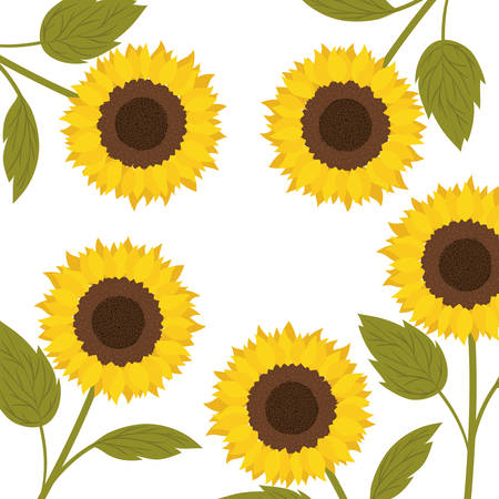 pattern of sunflowers isolated icon vector illustration designのイラスト素材