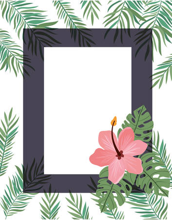 frame with flower and leafs of summer vector illustration designのイラスト素材